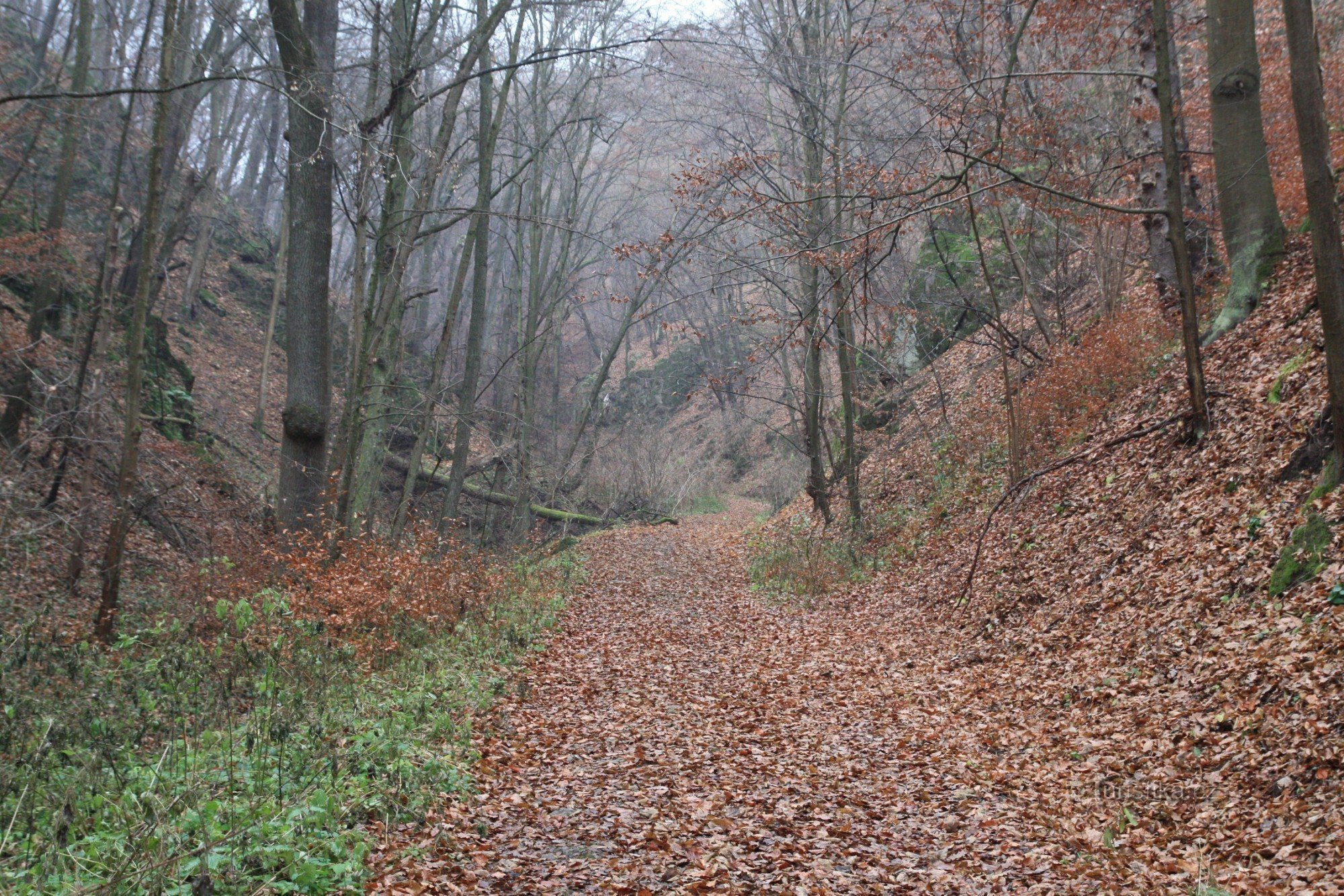 O caminho de Gangloff na parte superior do vale