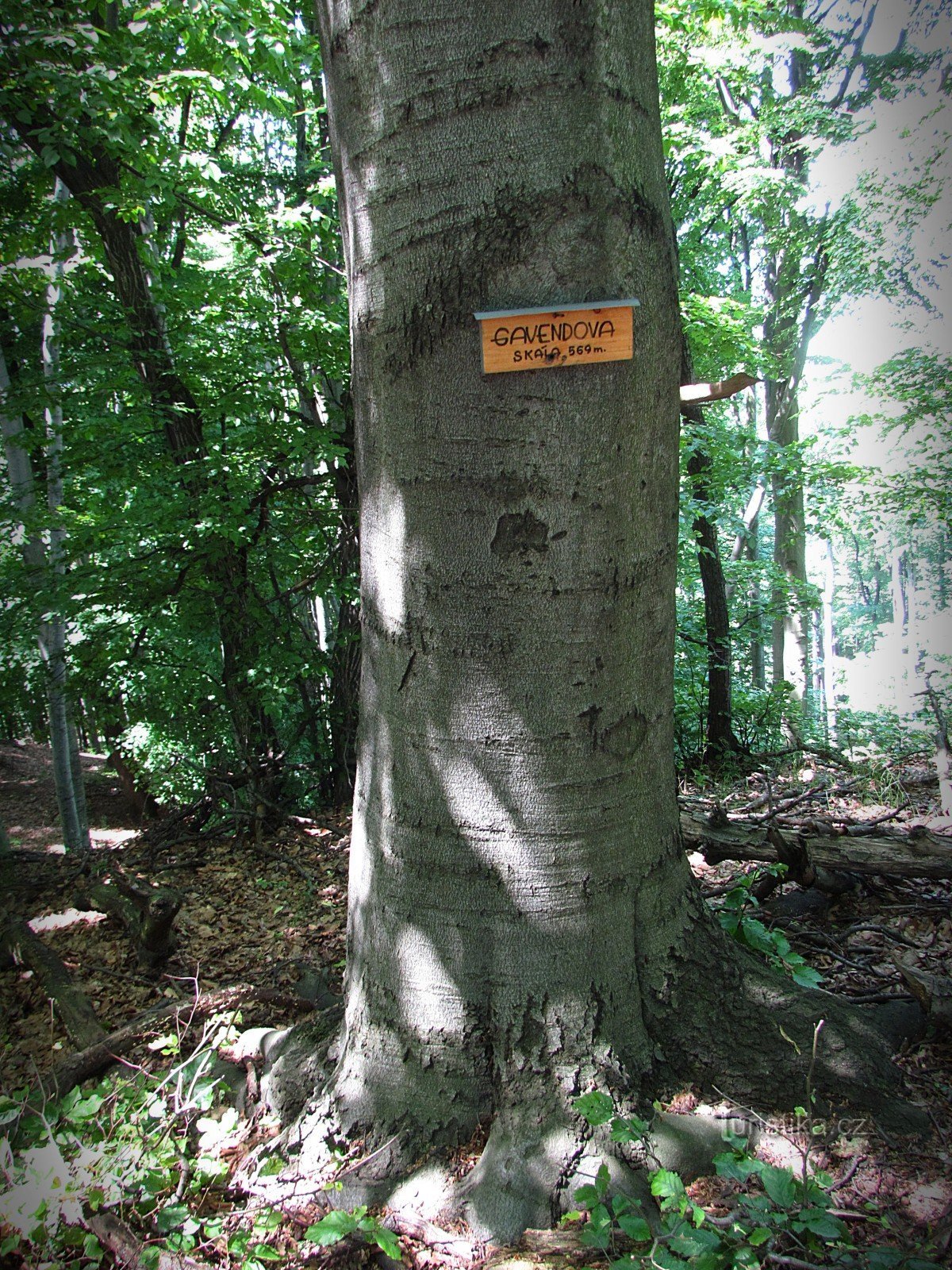 Gavends klippe - hovedklippen