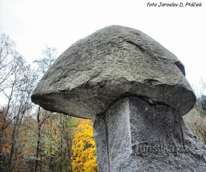 Expoziție geologică lângă râul Lužnice