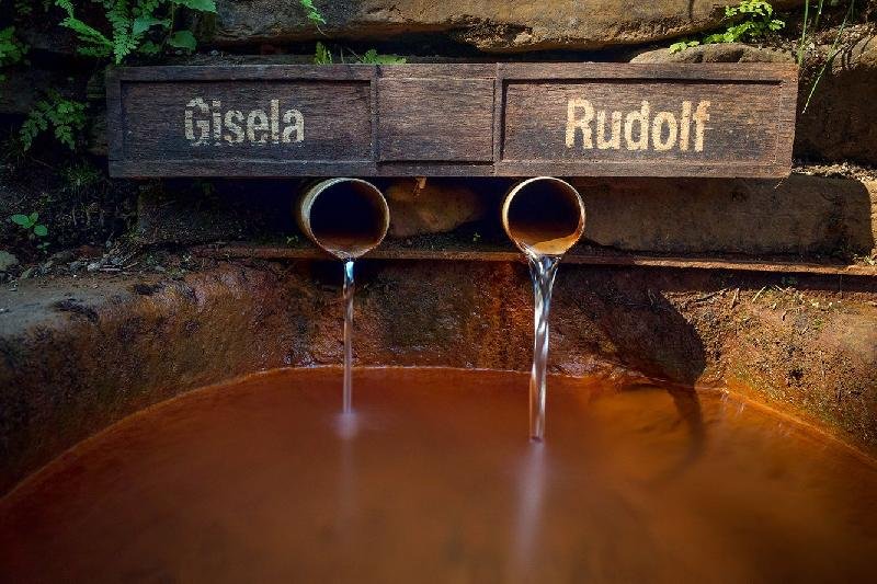 Giselin, Rudolfův a Vincentův pramen