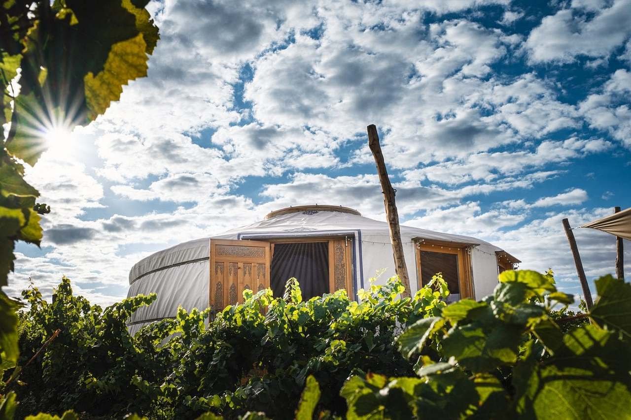 Glamping Marcipan - jurty ve vinici