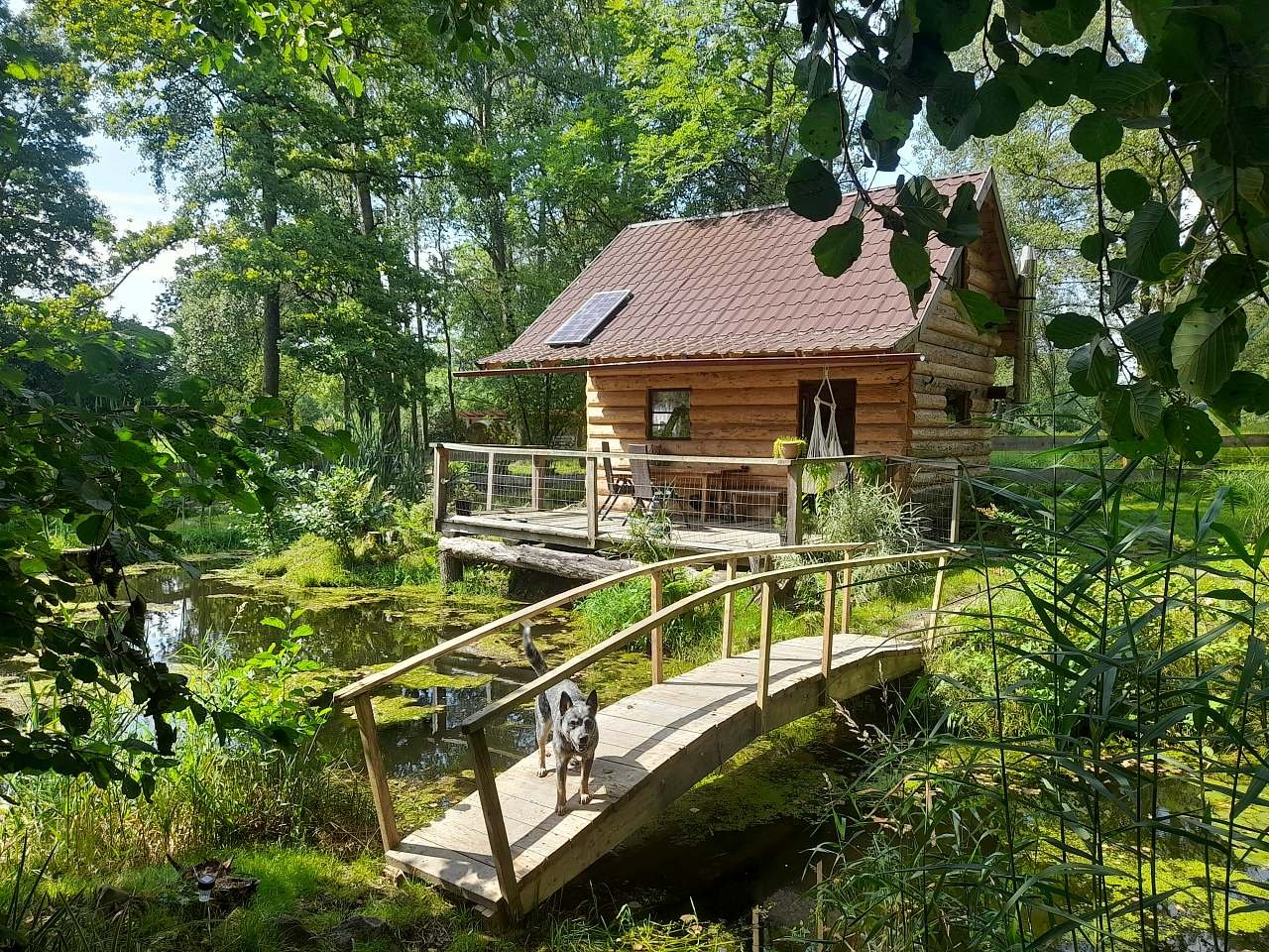 Glamping sous le château