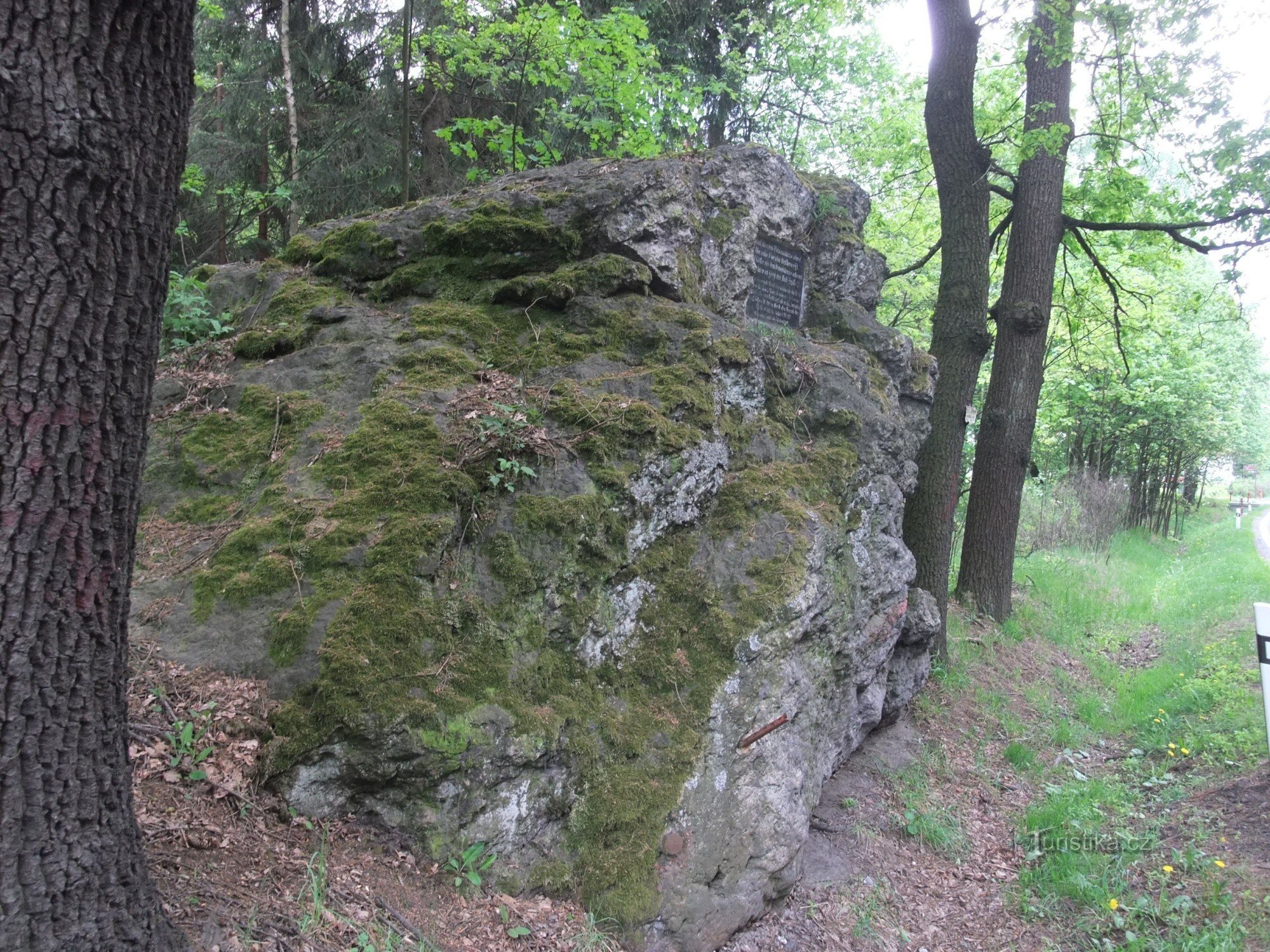 Goethe's stone