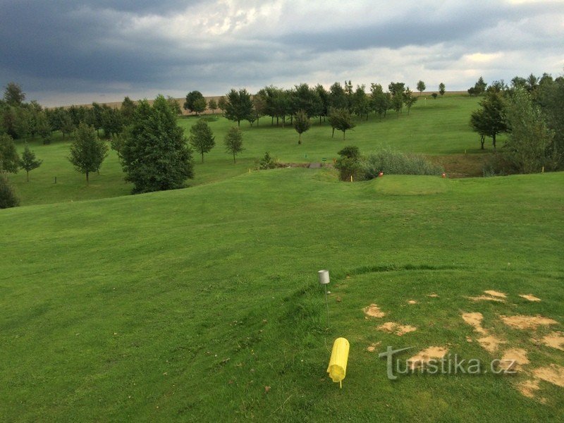 Радиков поле для гольфу