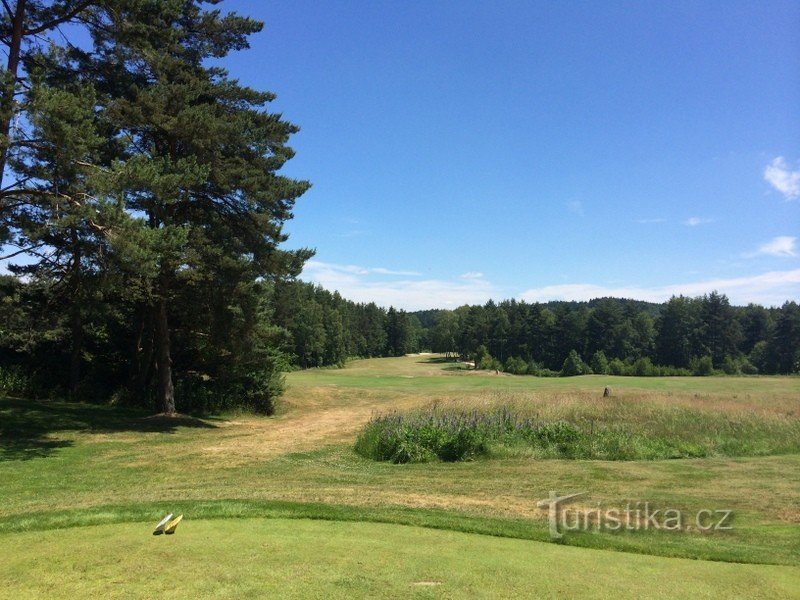 campo de golf monachus