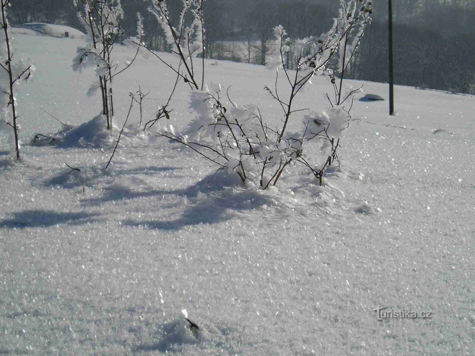 Górno leszna en hiver, plus précisément sous la colline de Wróžno