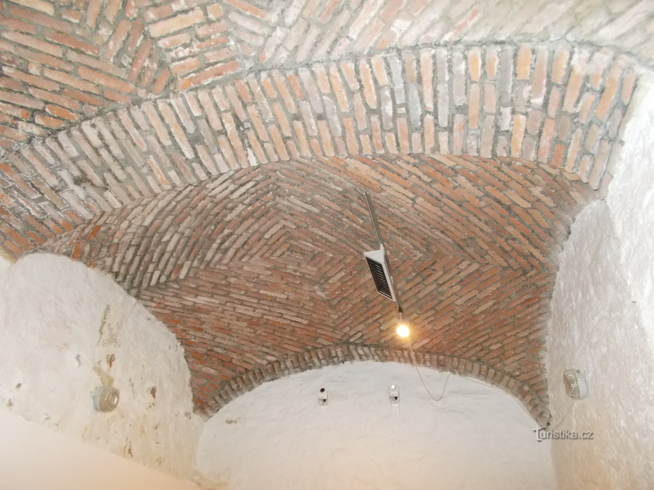 Gothic cellars