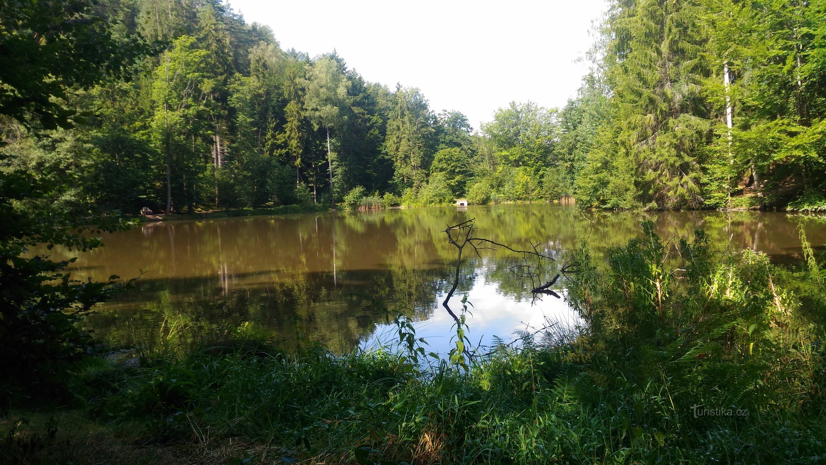 Greislerův rybník.