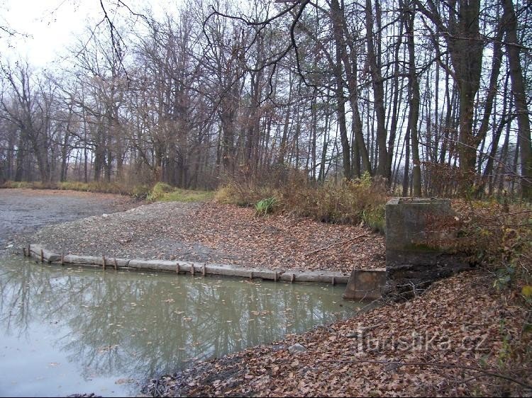 Gríšův rybník: Udsigt over dammen