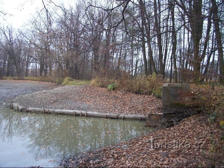 Gríšův rybník: View of the pond