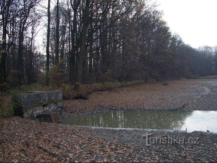 Gríšův rybník: Näkymä lammelle