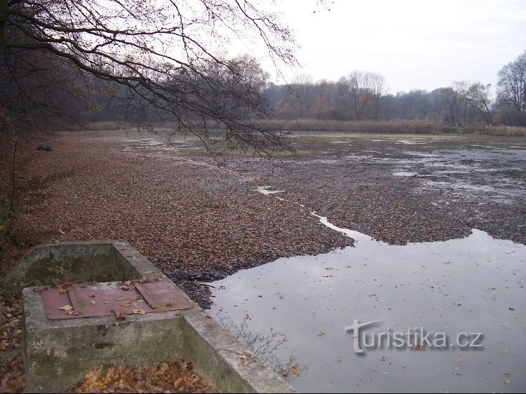 Gríšův rybník: Pogled na ribnik