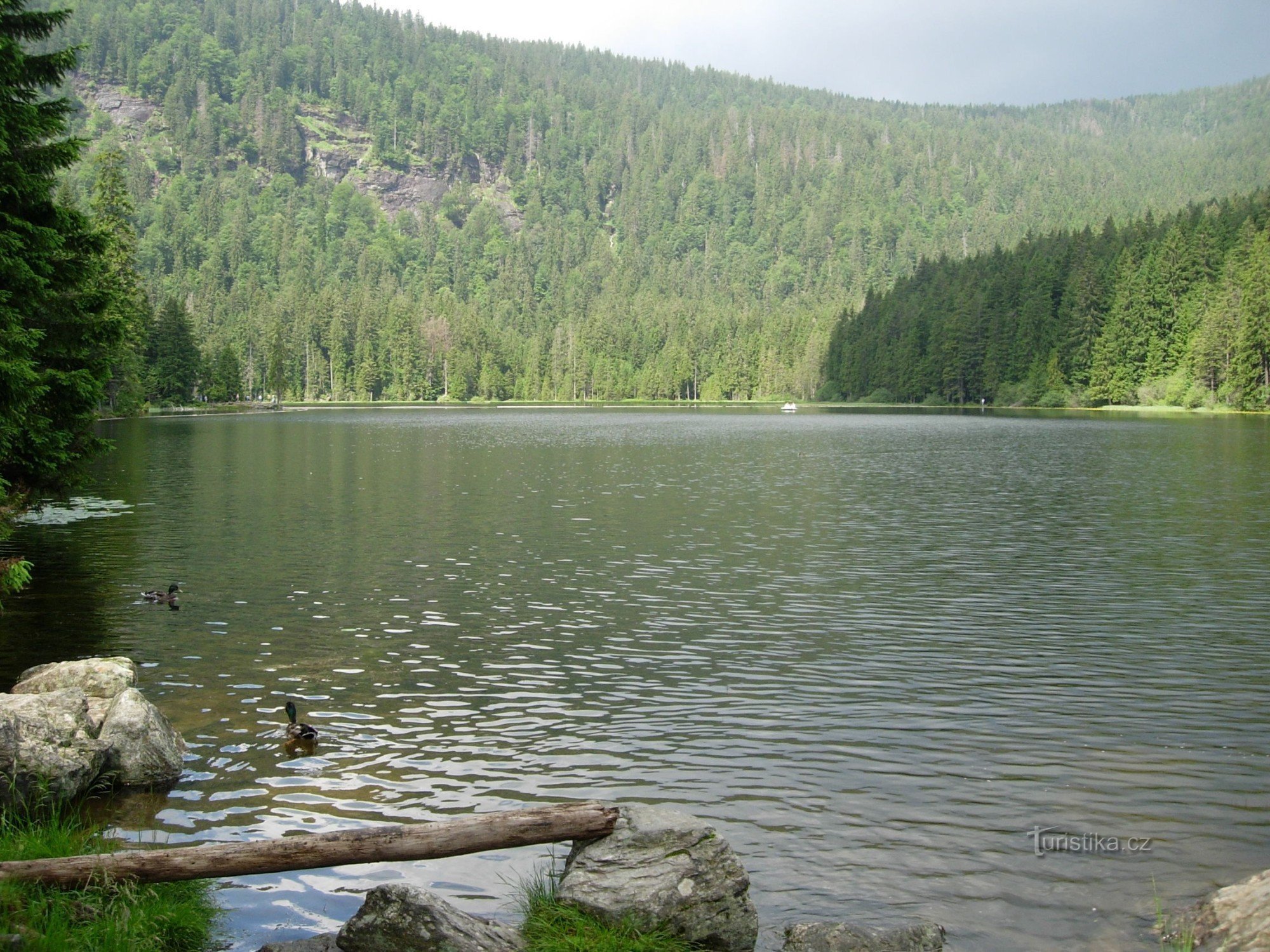 Großer Arbersee