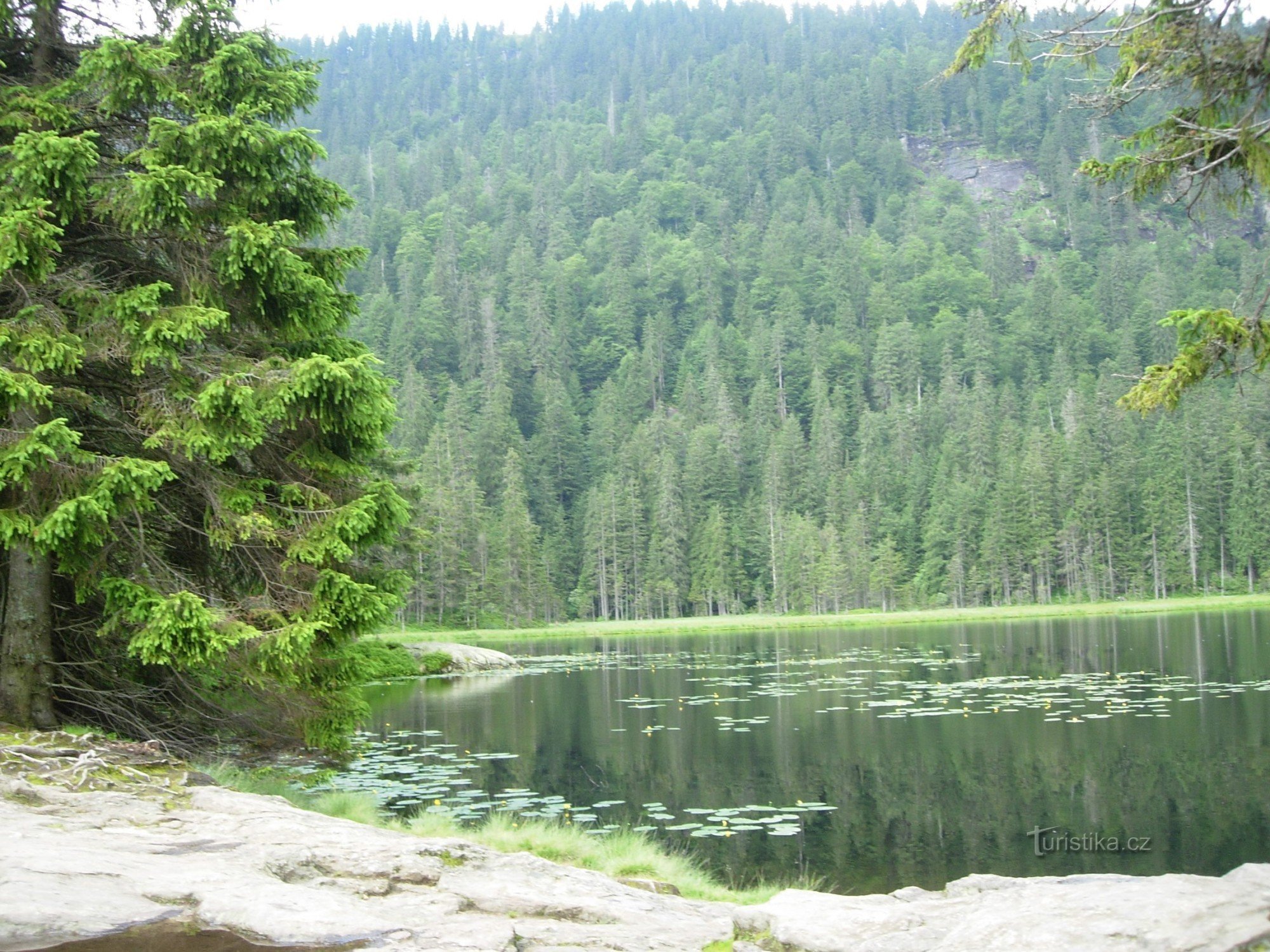 Grosser Arbersee