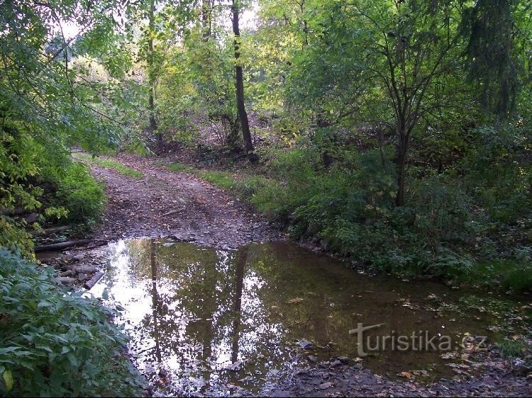 Gručovka: Uitzicht op de beek