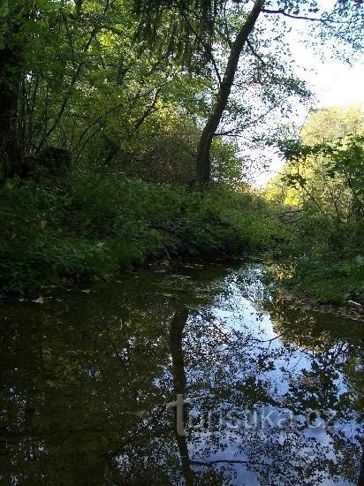 Gručovka: Vedere a pârâului