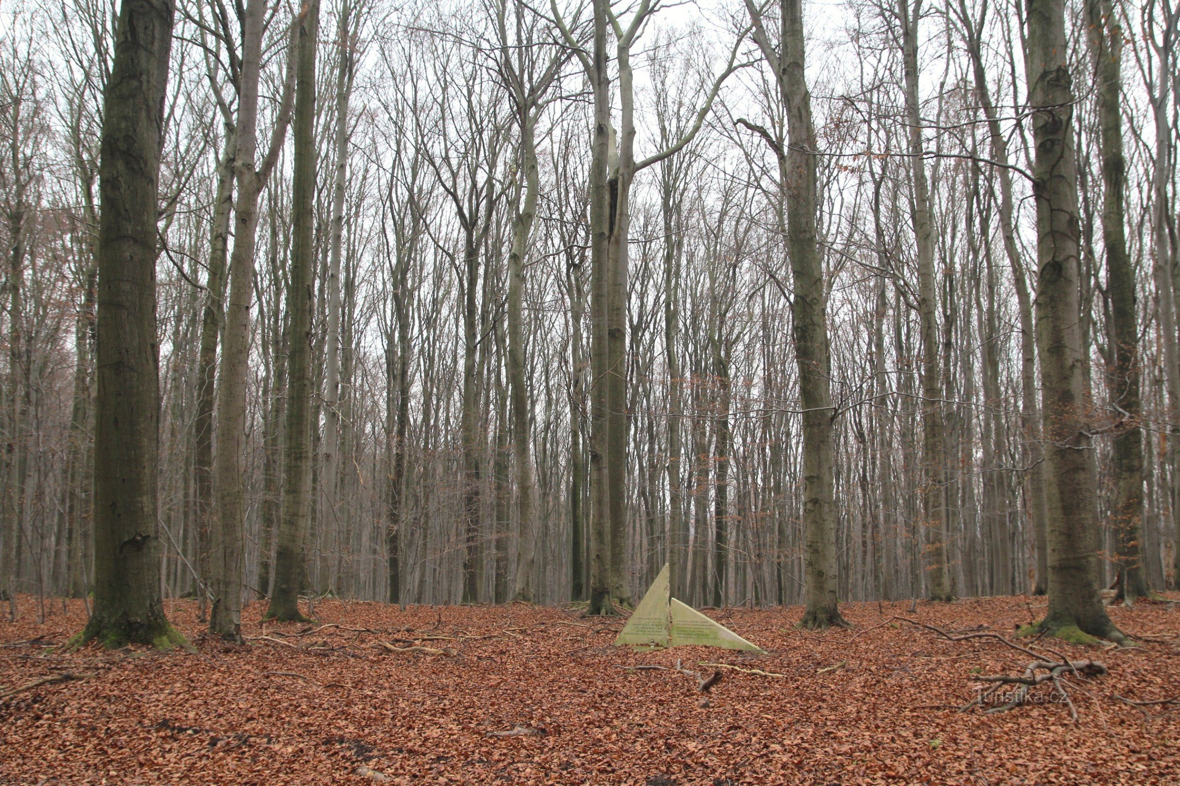 Habrůvecká bučina, en primer plano el monumento a A. Zlatník