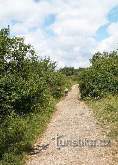 Hádecká-Ebene: Einer der Wege am Rande der Hádecká-Ebene (gelbe Touristen