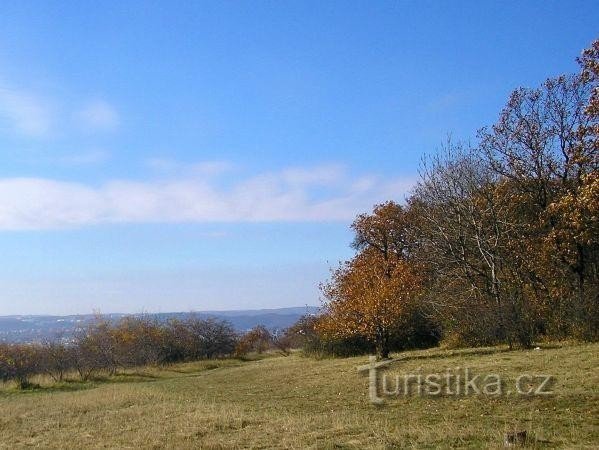 Hadecká plain