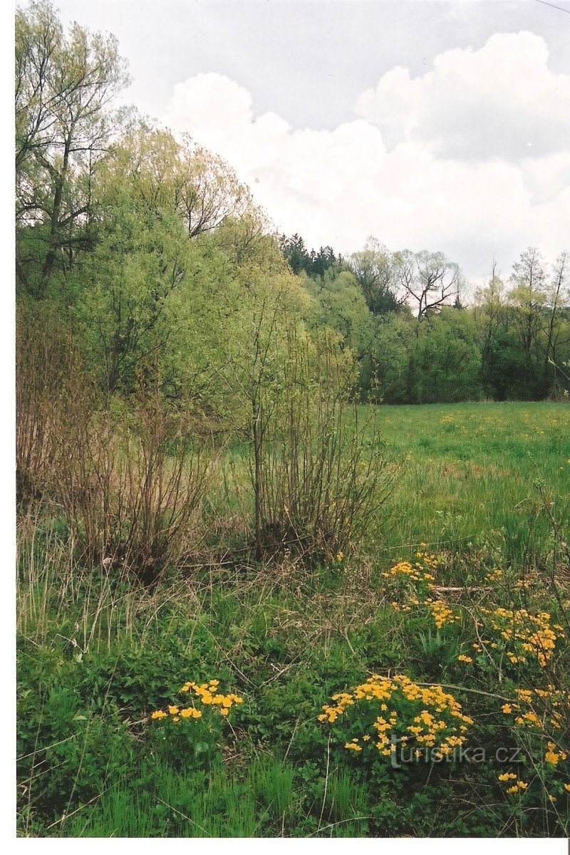 Hadecké meadows