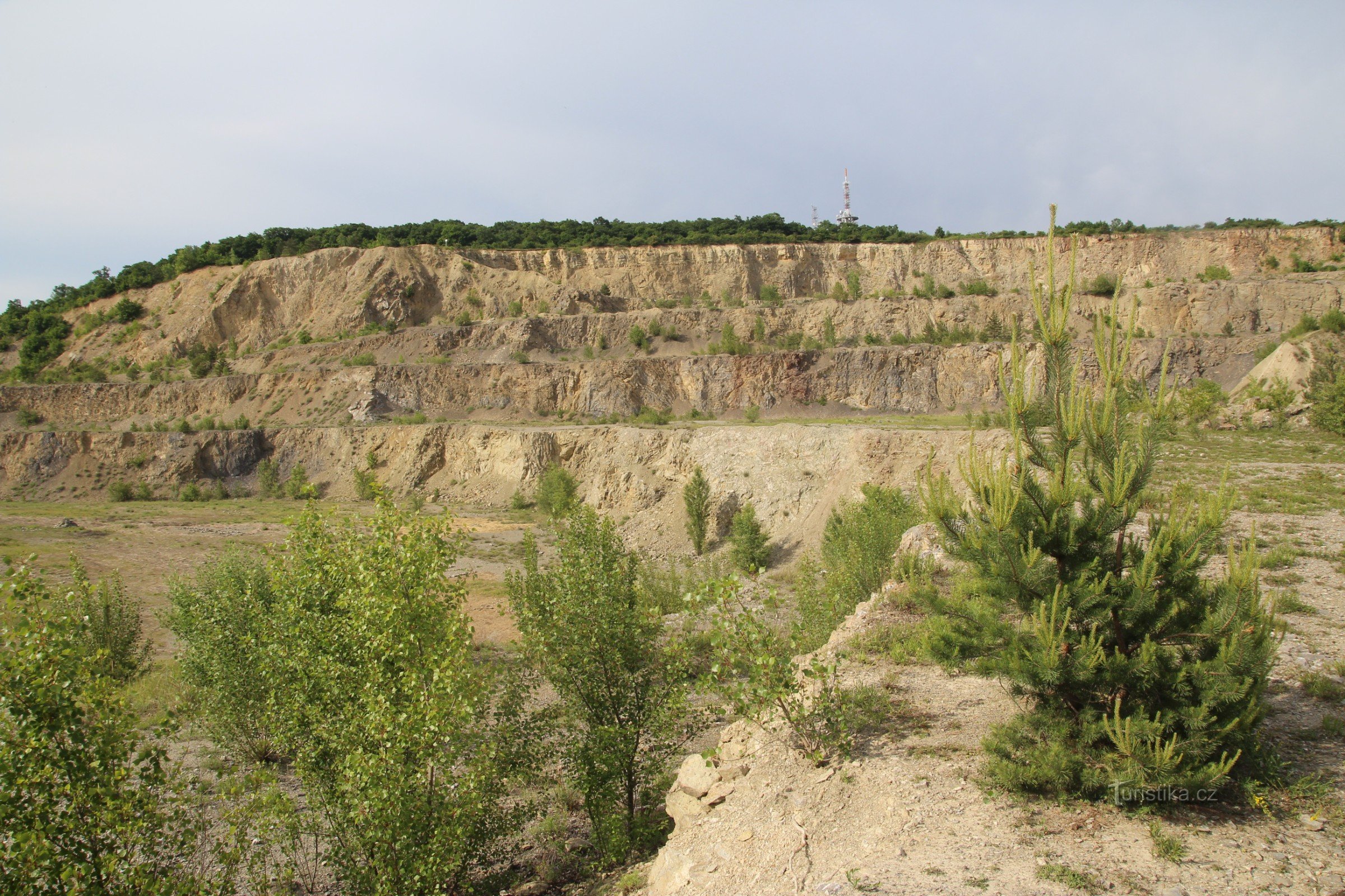 Hady - former quarry