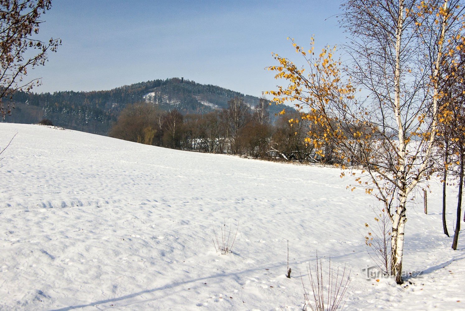 Haj lub Senová