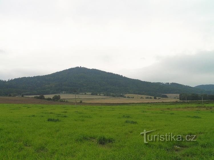 Grove from Šumperk