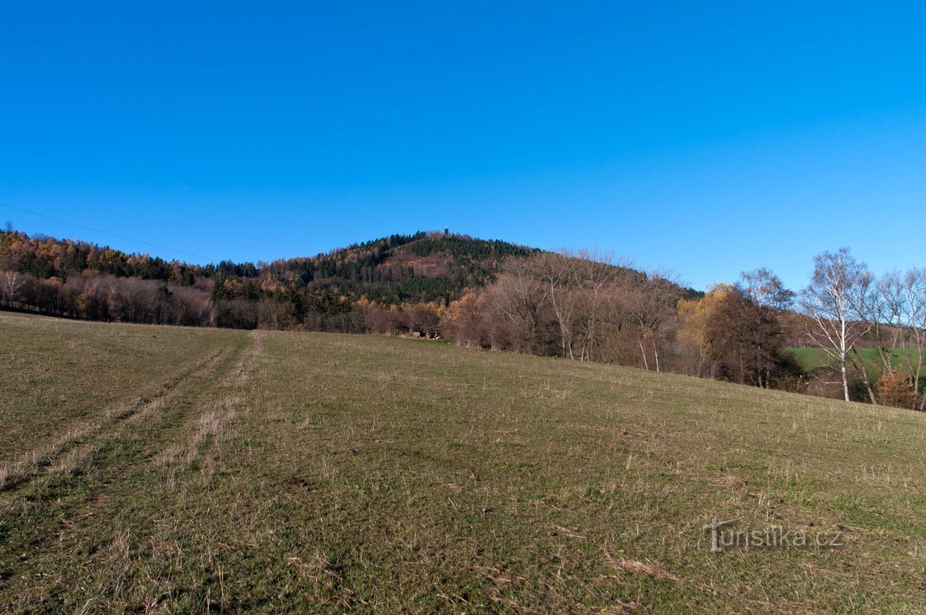 Arboleda con mirador, o Senová