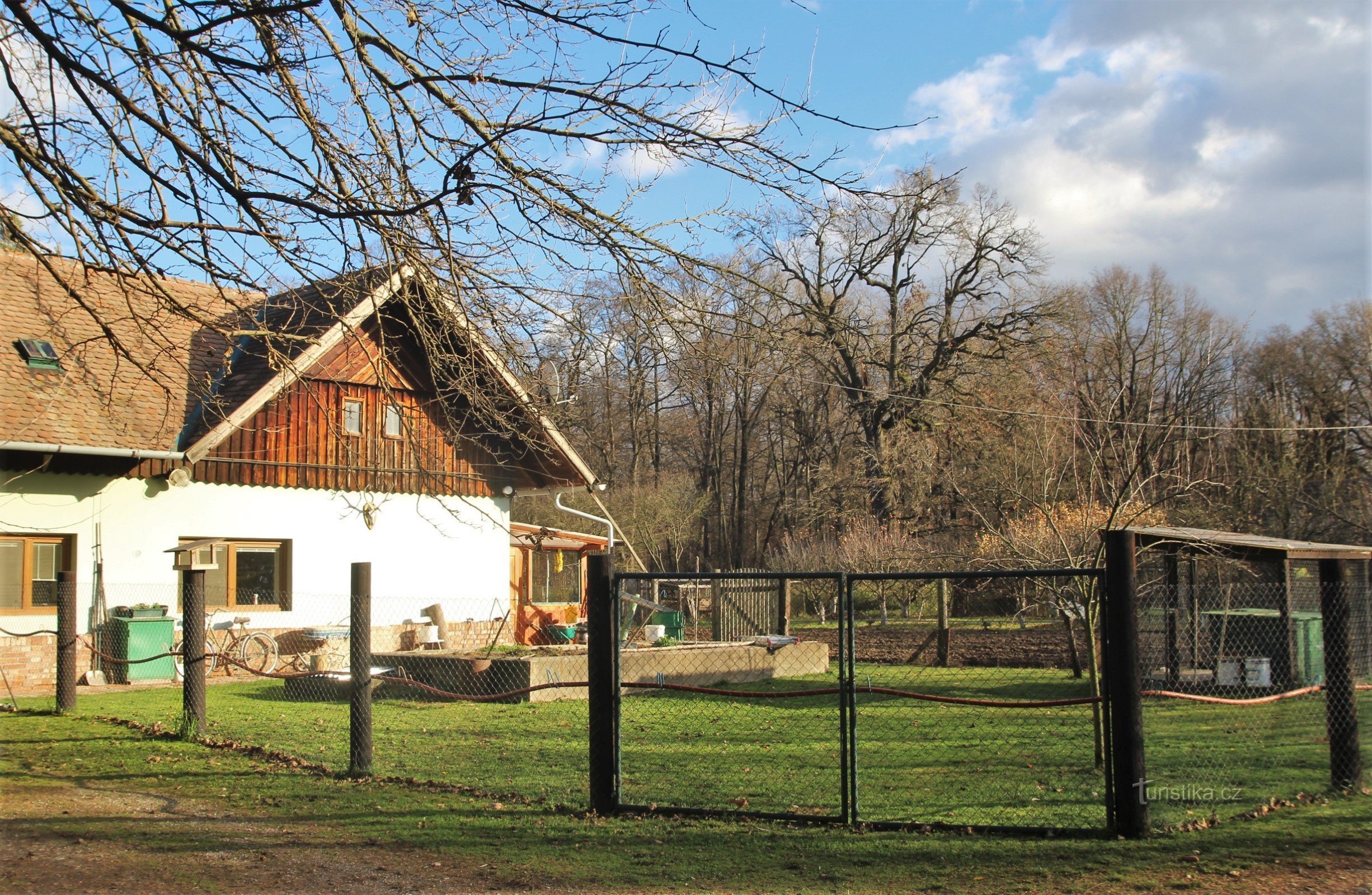 Hájenka na Zbrod, a memorial oak in the background