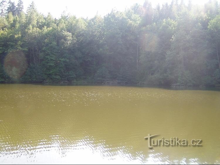 hajnický pond lower: view of the surface 2