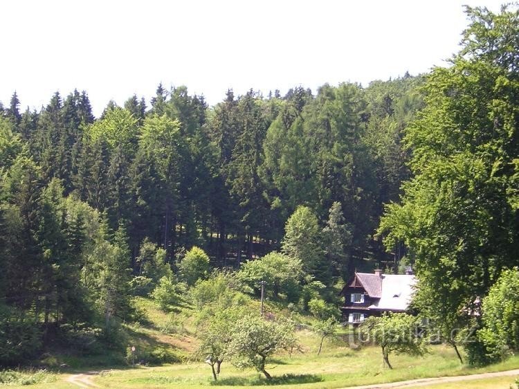 Hájovna w Hynkovicach koło Jamného nad Orlicí: Jedna z tras na Suchý vrch z Jamného
