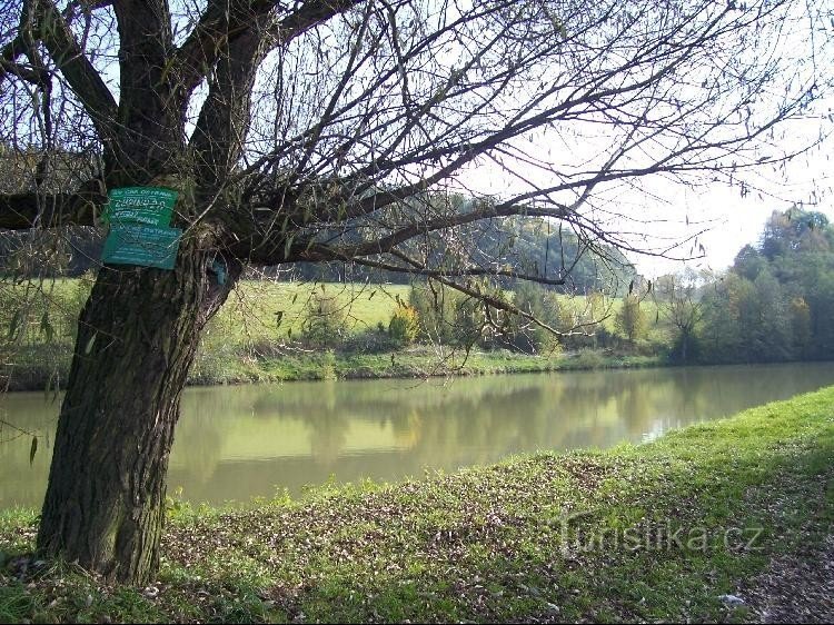 Lagoa Hájovský: Vista da lagoa