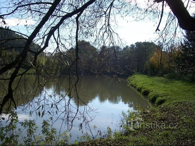 Étang Hájovský: Vue sur l'étang