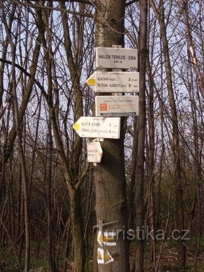 Halda Terezia - Ema: Signpost under the peak