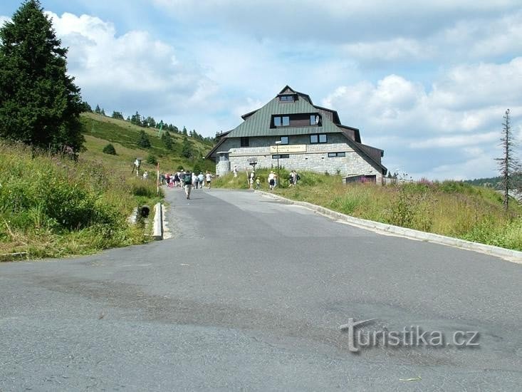 Hamernica