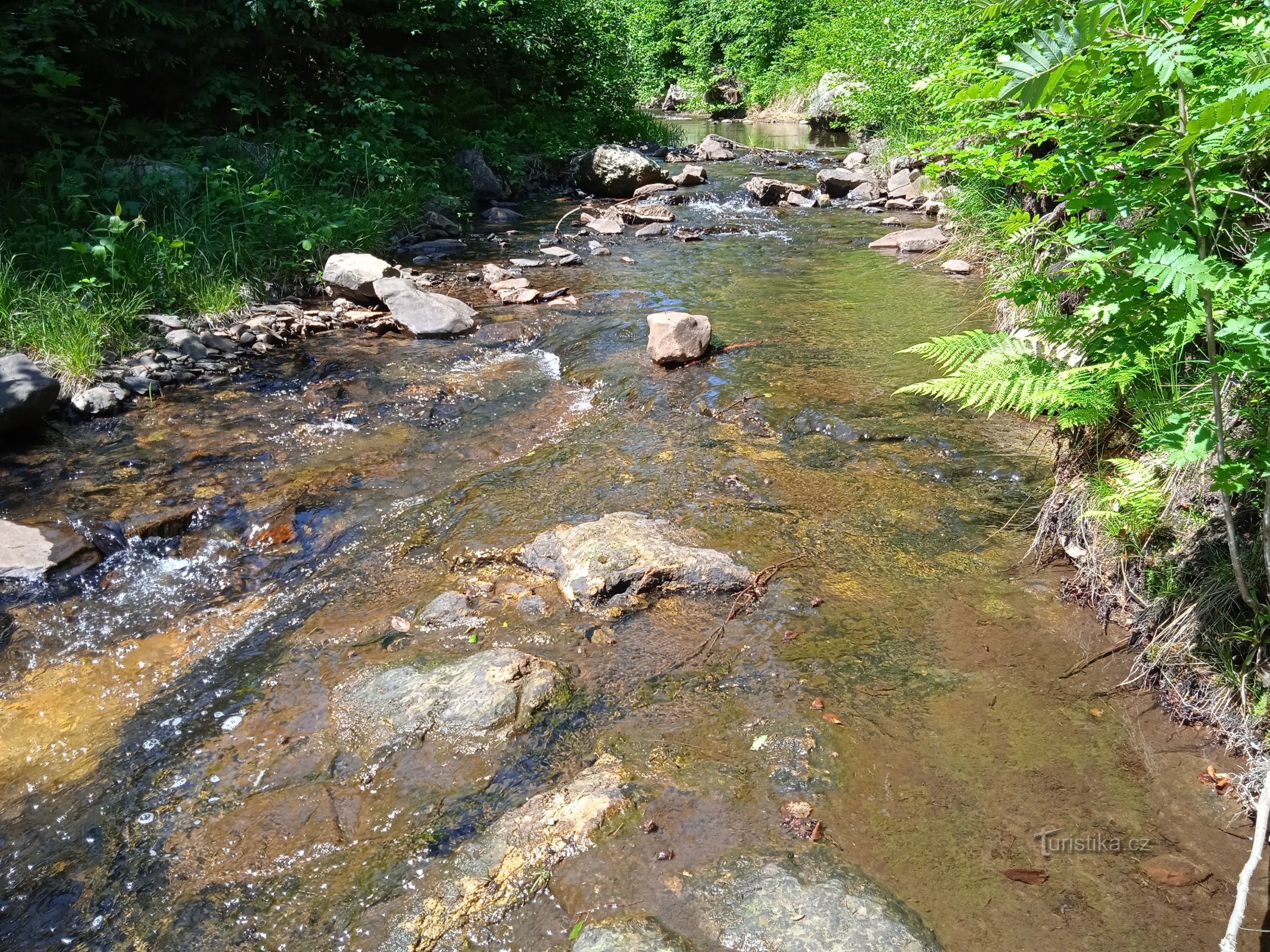 Хамерський струмок