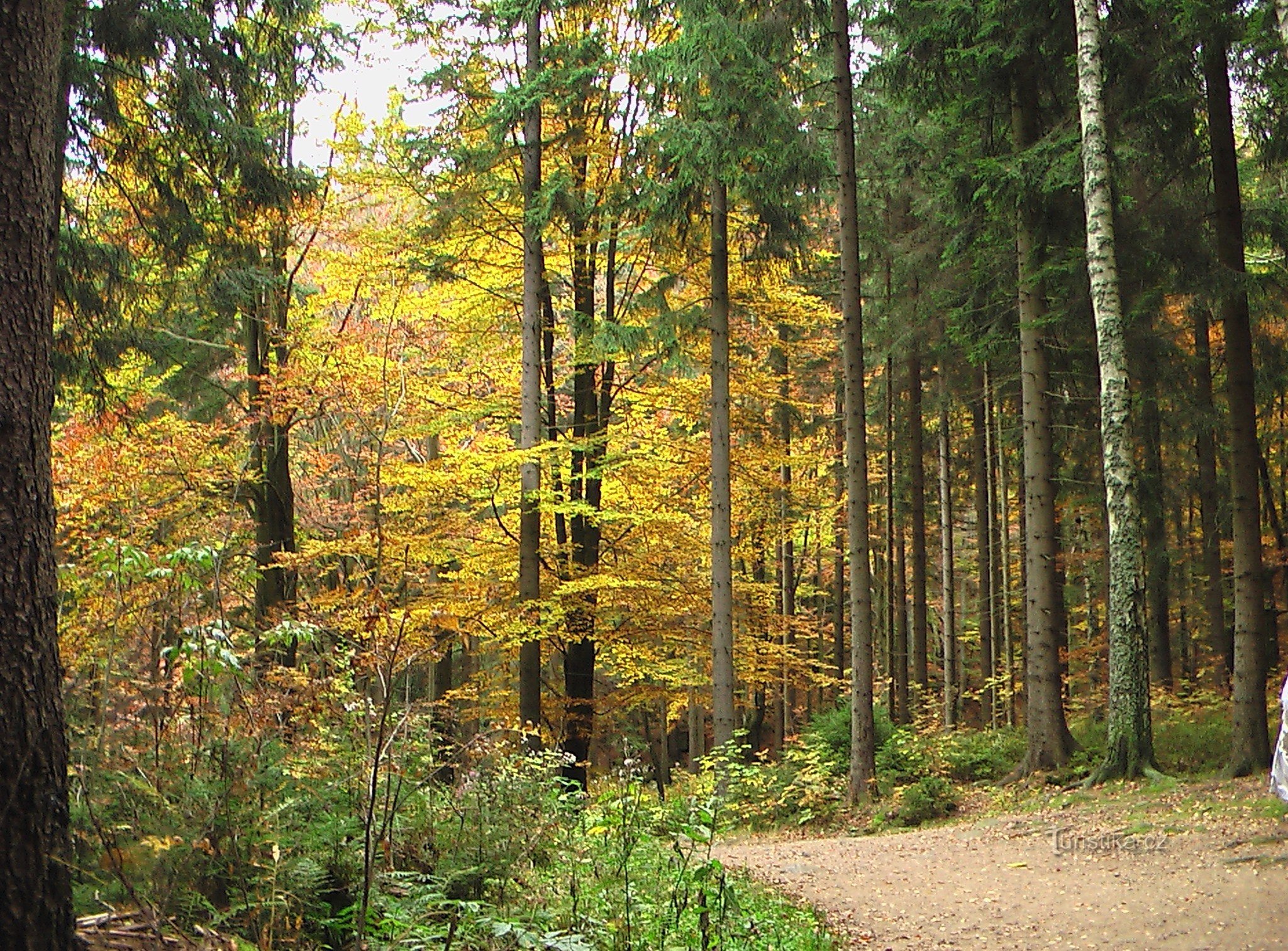 Harrachov - Wasserfälle auf Mumlava - Glashütte