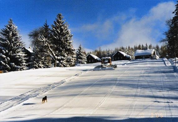 Harrachov Zakoutí svah