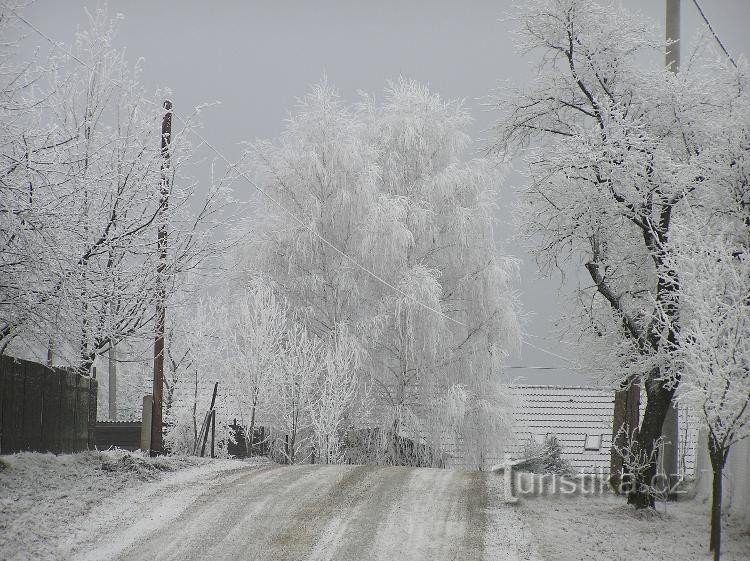 Hartinkov télen