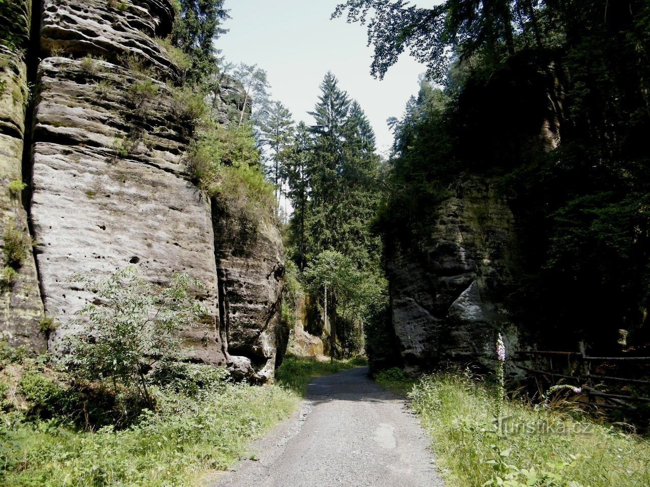 Hátový mine