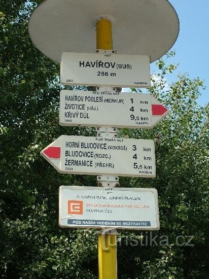 ハヴィロフ - バス