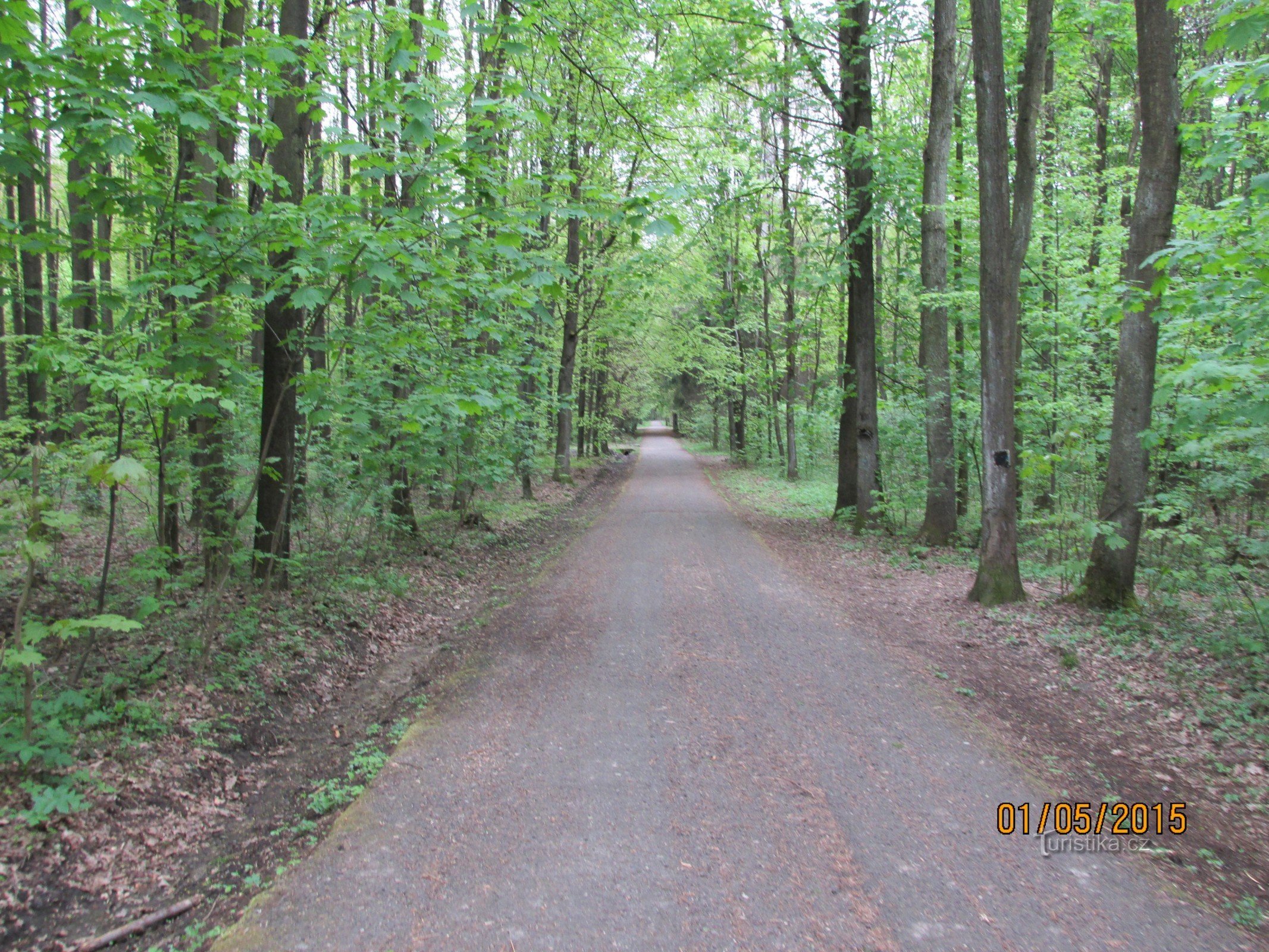 Havířovský forest park Stromovka