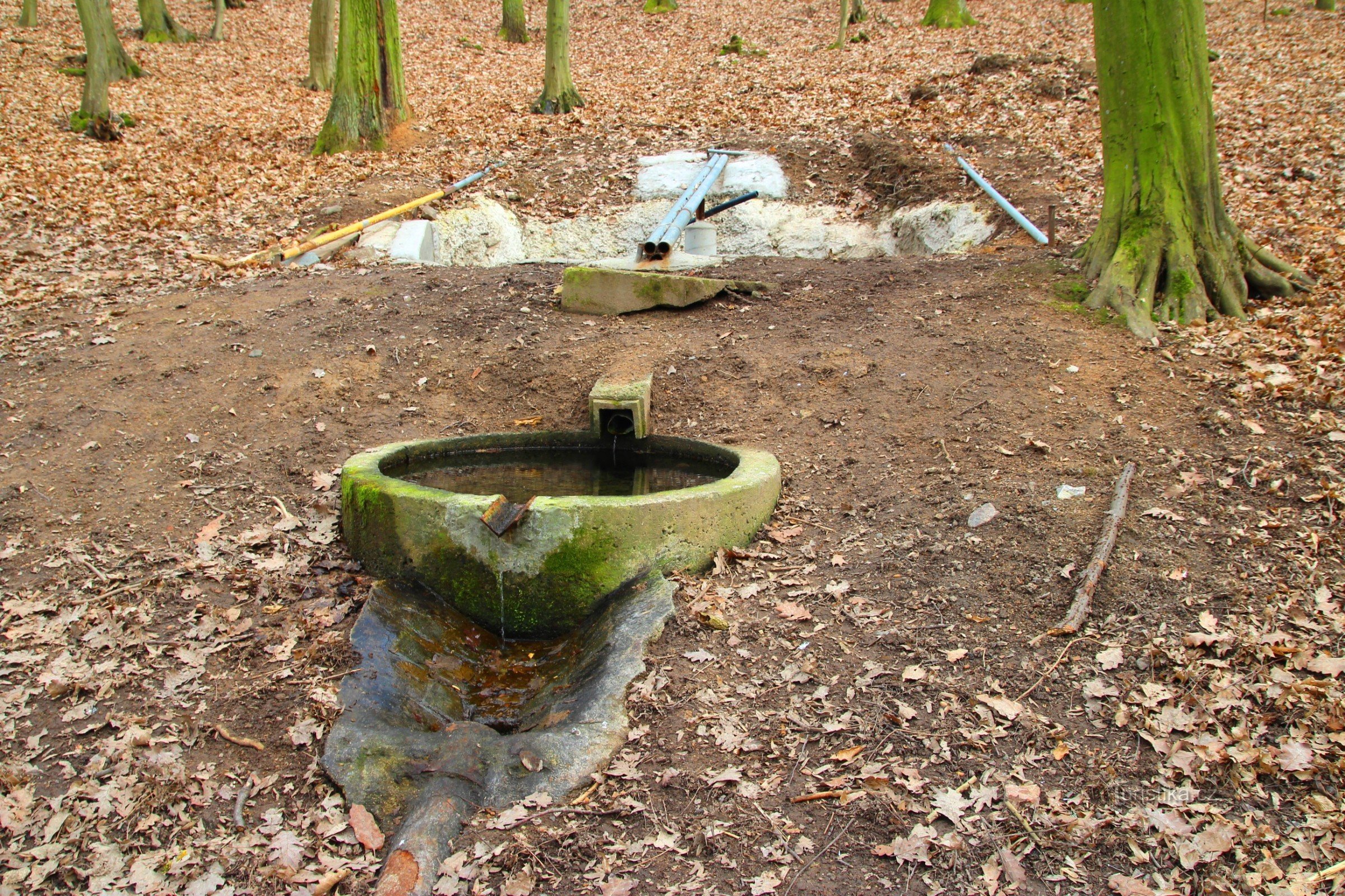 Havlín's well
