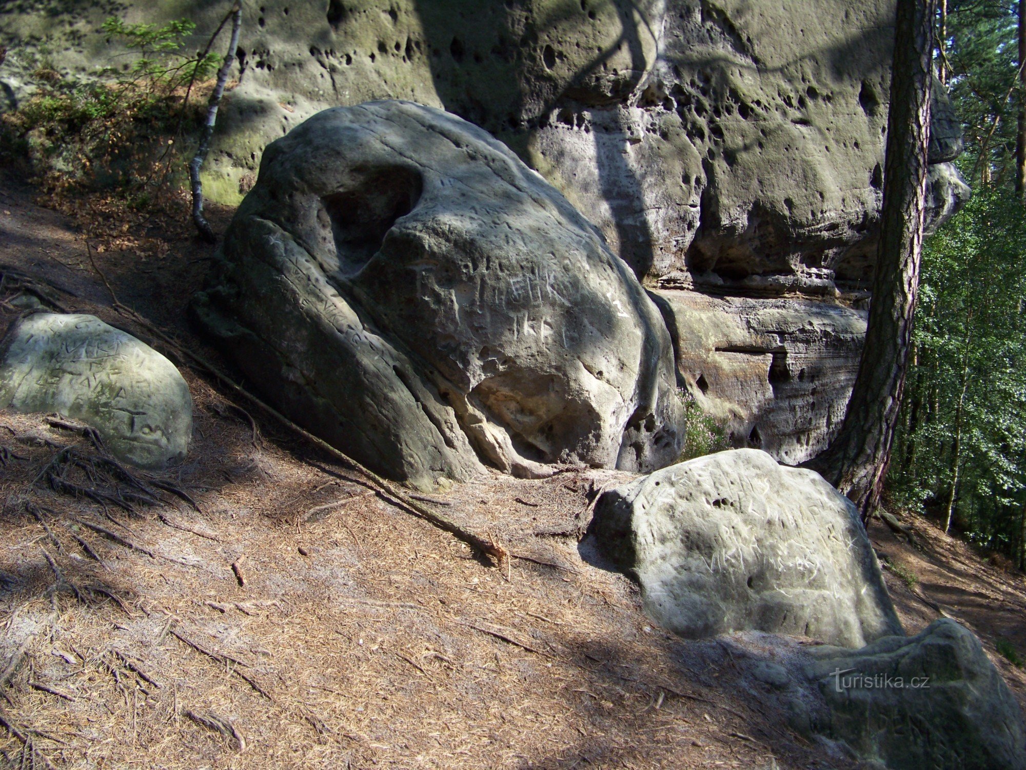 Rocas del cuervo 2008