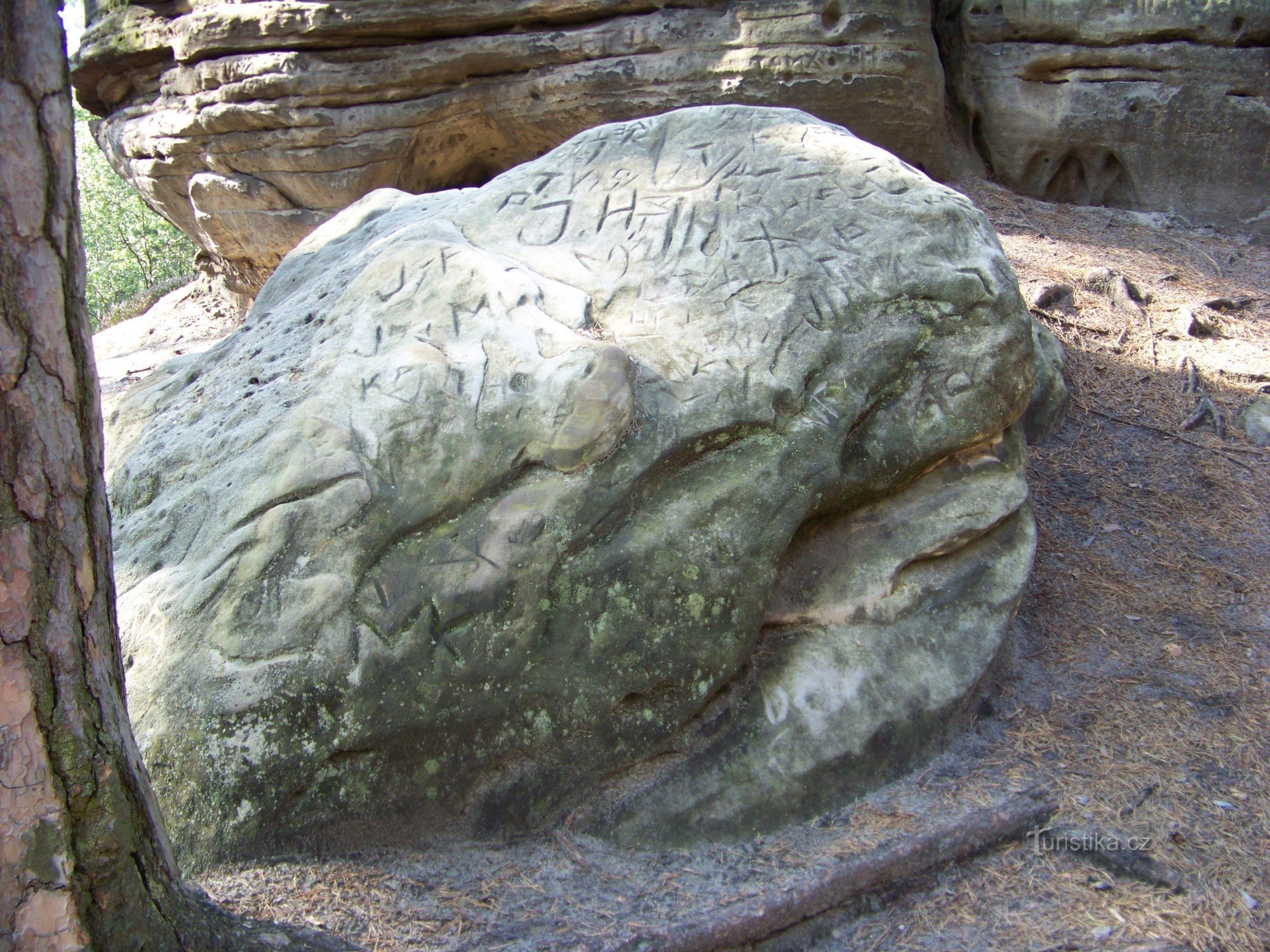 Rocas del cuervo 2008