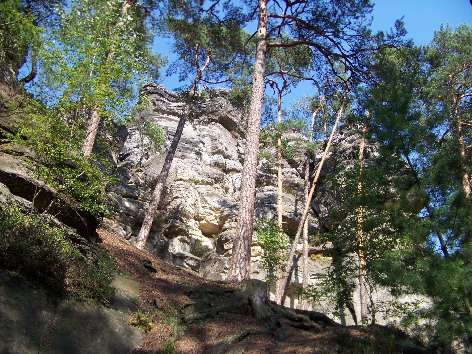 Rocas del cuervo 2008