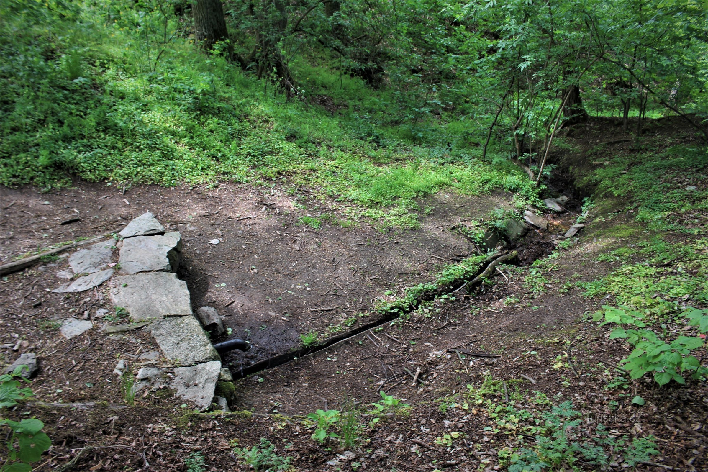 Havraníky - well under the lime trees