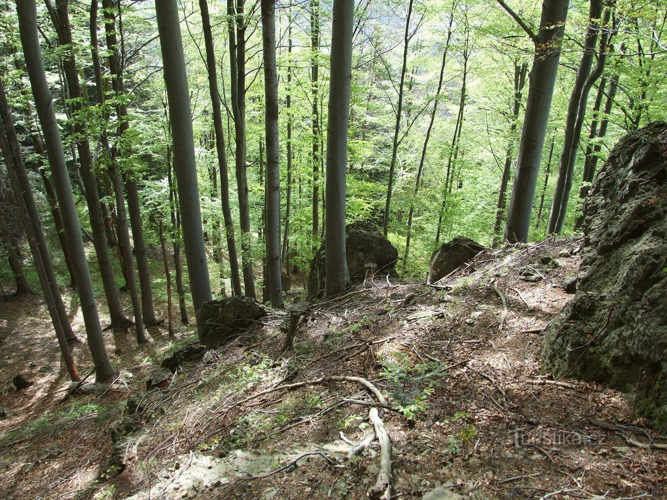 Rochas de Heckel (Heckel-Felsen)