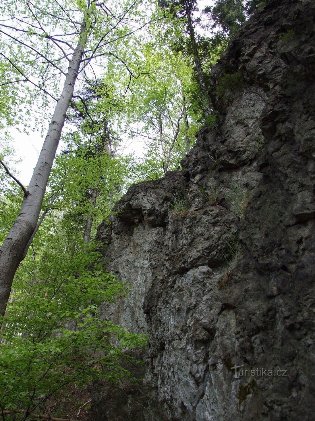 Skały Heckela (Heckel-Felsen)