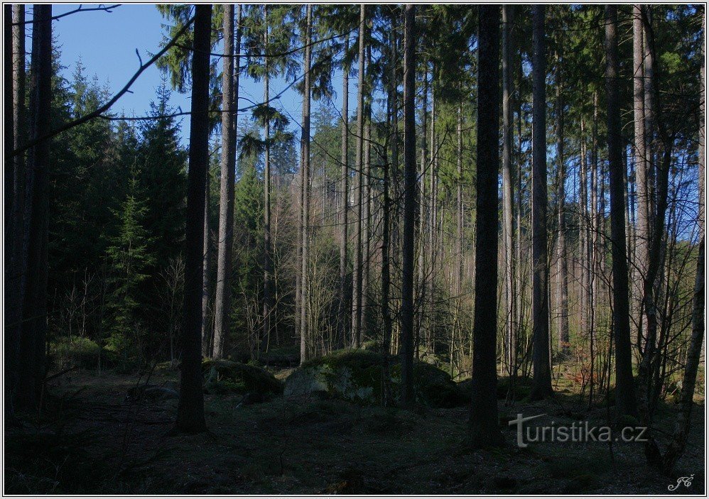 Hejda - kamnito vznožje hriba